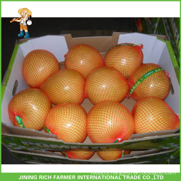 Fresh Honey Pomelo Supplier Good Taste Chinese Fresh Pomelo